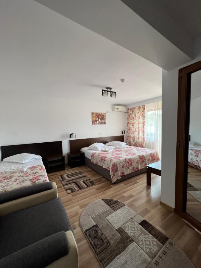 Vila Alex&Razvan Tulcea Buitenkant foto